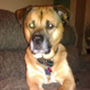 Meet your Posher, Jason